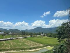 -黄牛肉馆·皖南土菜
