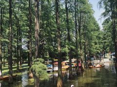-渌洋湖湿地公园