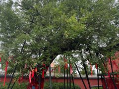 -药王庙(安国市)