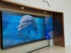 -AMG海上明珠影城(上海环球港RealDCinema店)