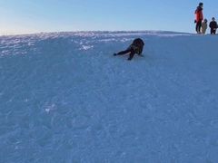 -绿野森林乐园冰雪季