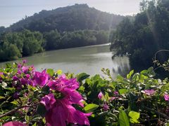 -金鸡岭桥头公园