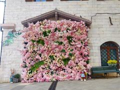 -华谊兄弟（长沙）电影小镇