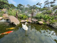 -罗红摄影艺术馆