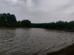 -上海海湾国家森林公园