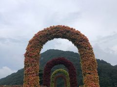 -广州市石门国家森林公园