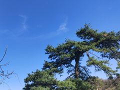 -秦岭终南山世界地质公园翠华山景区