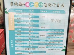 -田园东方蜜桃村的田野营地