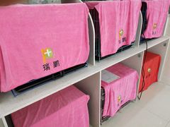 -瑞鹏宠物医院·微创内窥镜·骨外科·牙科(翠竹分院)