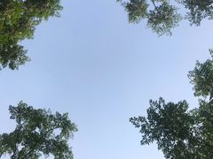 -盘龙城国家考古遗址公园