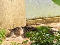 -石家庄市植物园