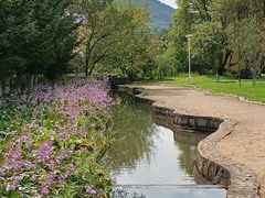 -横道河子东北虎林园