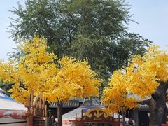 -大汗行宫园林餐厅