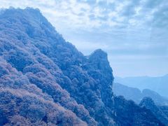 -少华山国家森林公园