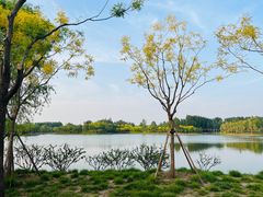 -东郊湿地公园