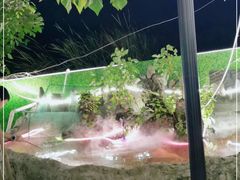 -邛海景风火盆烧烤(大石板古村二分店)