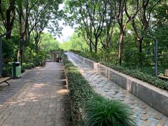 -苏州河梦清园环保主题公园