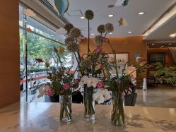 -杭州贝瑞斯美华妇儿医院·早孕·产检·儿科