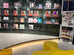 -浣熊唱片店(上海影城店)