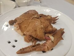-金狮麟·新豫菜(金码大厦店)