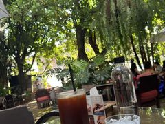 -Fern Forest Cafe