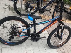 -道路口单车爱瓦士dahon大行