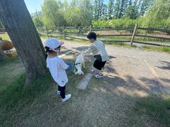 -前小桔亲子创意农场·草莓采摘·露营烧烤