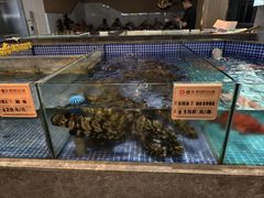 -德天肥牛海鲜火锅(龙吟坊店)