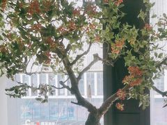 -潮上潮(南中环店)