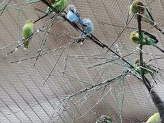 -南宫五洲植物乐园