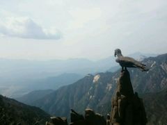 山腰-罗田天堂寨风景区