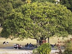 -深圳仙湖植物园