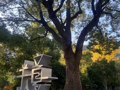 -杭州半山国家森林公园