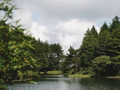 -四明山国家森林公园