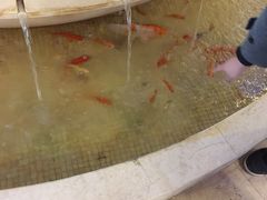 -蓝堡俱乐部