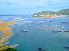 -枸杞岛