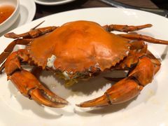 腌仔蟹-协成海鲜火锅(海洋花园店)
