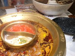 川门毛肚七绝-哥老官重庆美蛙鱼头(西湖银泰十一哥店)