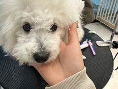 -萌宠主义宠物生活馆(金山路店)