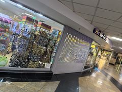 -奥利弗·雷金纳德·坦博国际机场