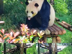 -云南野生动物园