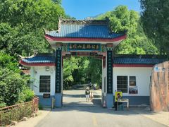 -王顺山国家森林公园
