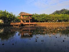 -李小龙乐园(顺德均安店)