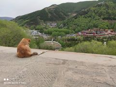 -五台山风景名胜区