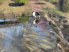 -石塘人家