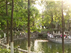 -绵阳人民公园(涪城区)
