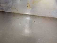 -王四营海鲜市场