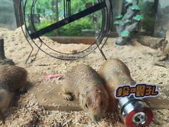 -珠海海泉湾神秘岛亲子乐园