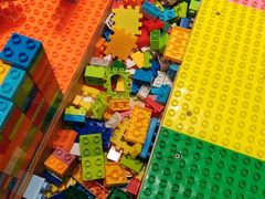 -醉得意·山茶油炒土鸡(莆田仙游方圆荟店)