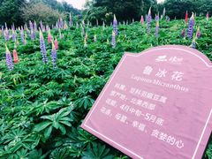 -保利石象湖景区
